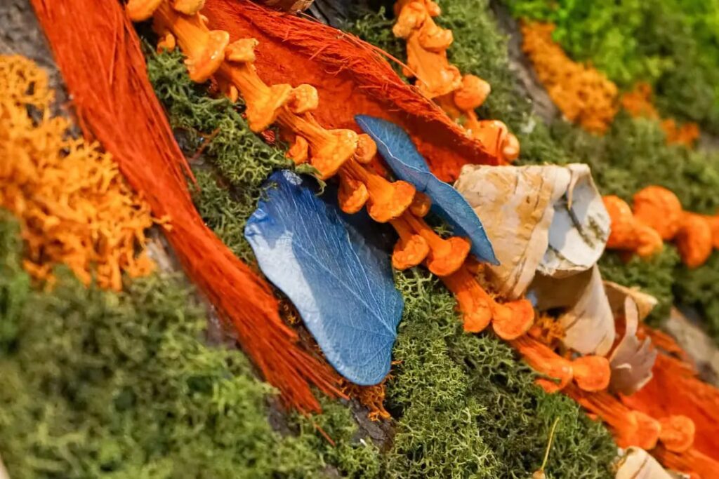 Atelier florigo - pavléna Hanušová Klipec